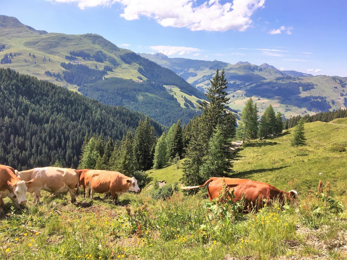 Am Zwoelferkogel