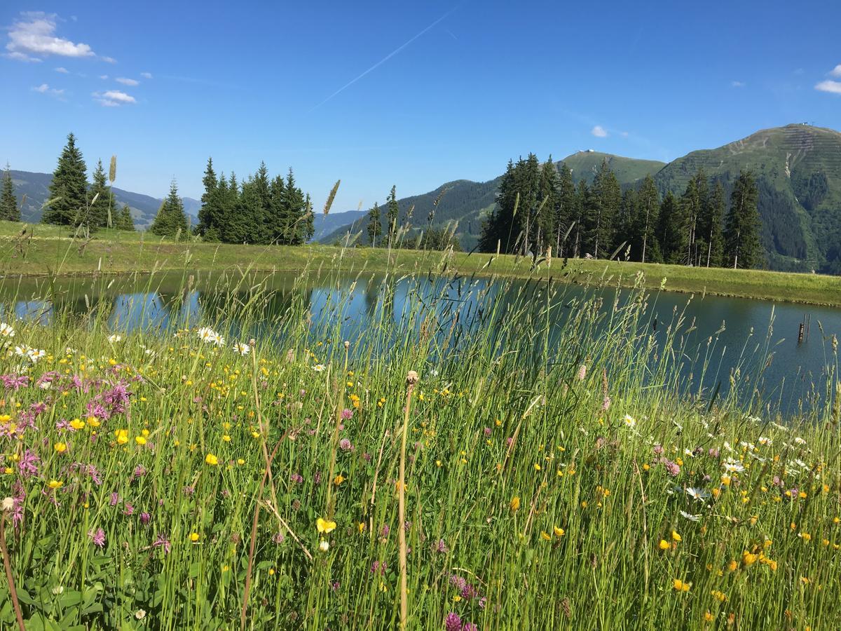 Am Zwoelferkogel Aparthotel Saalbach-Hinterglemm